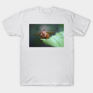 Closeup of a Cicada Killer T-Shirt